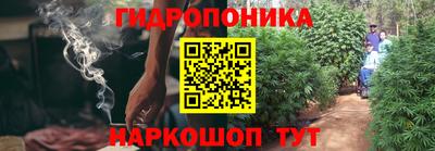 мяу мяу мука Владивосток