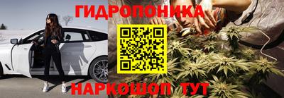индика Вышний Волочёк