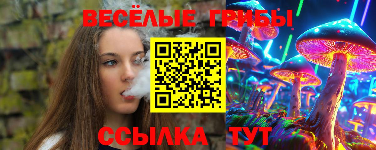Белая Калитва  Псилоцибиновые грибы мицелий  Вход с VPN 